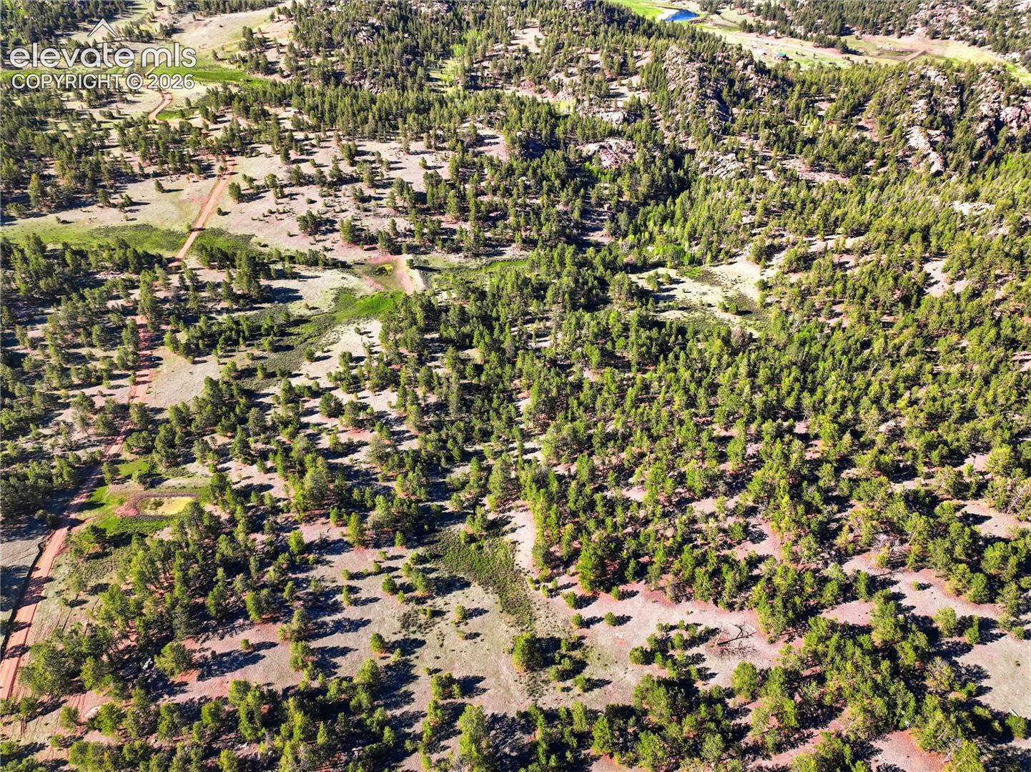 Expansive aerial landscape featuring a dense forest of evergreen trees and natural clearings