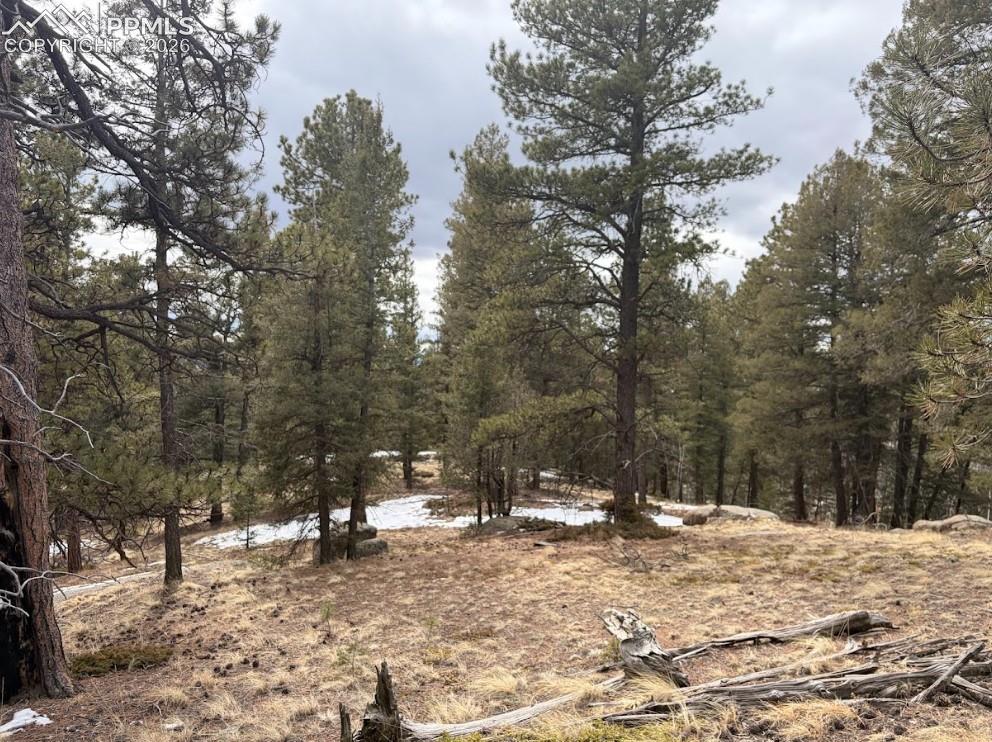 84 Point View Cir, Florissant, CO 80816