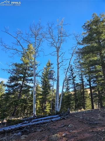 Photo 22 of 652 Derby Drive, Cripple Creek