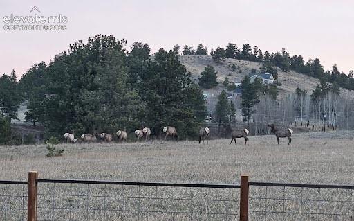 Annual Elk migration through the property 