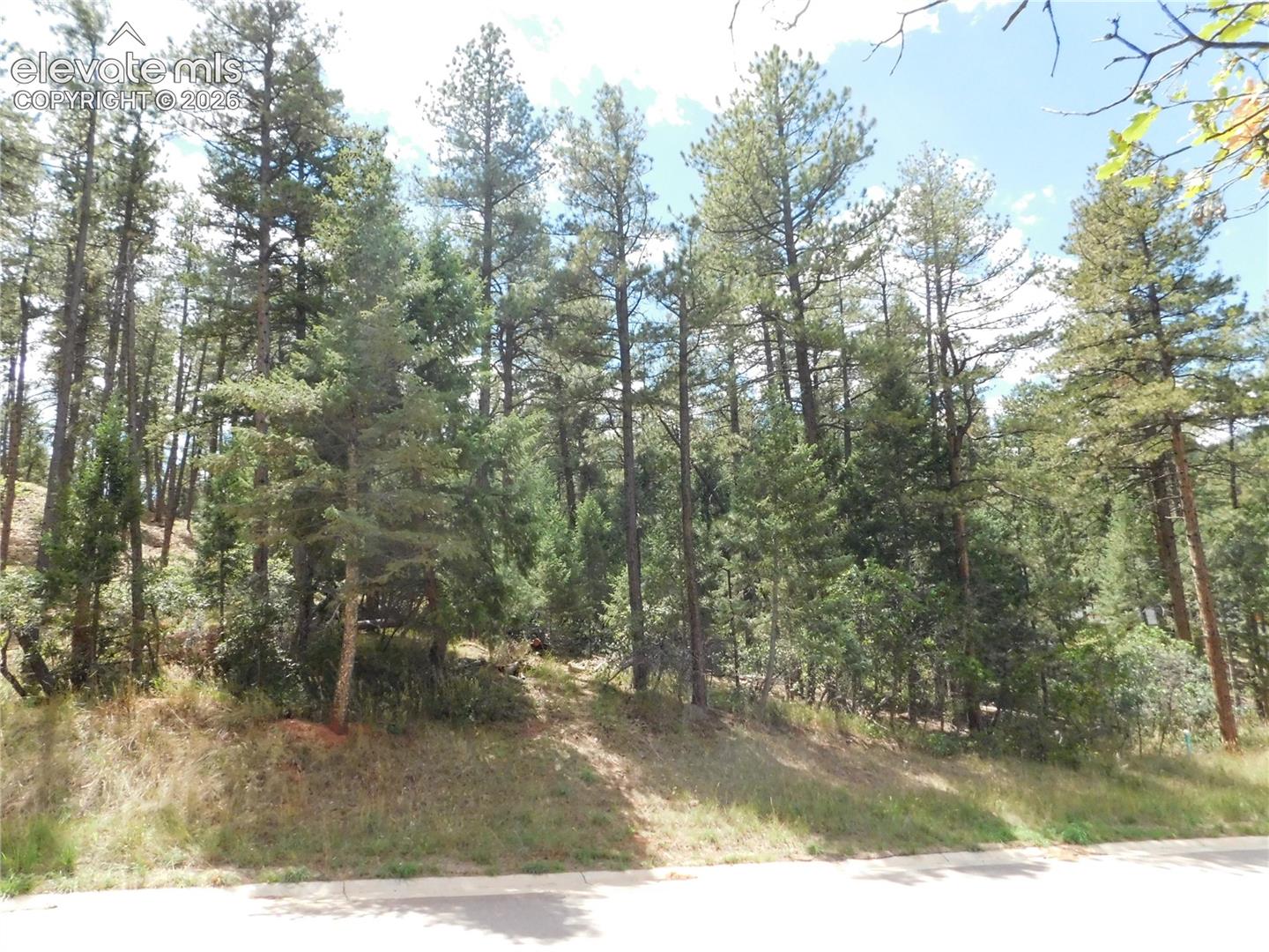 Photo 8 of 8139 Bannock Drive, Larkspur