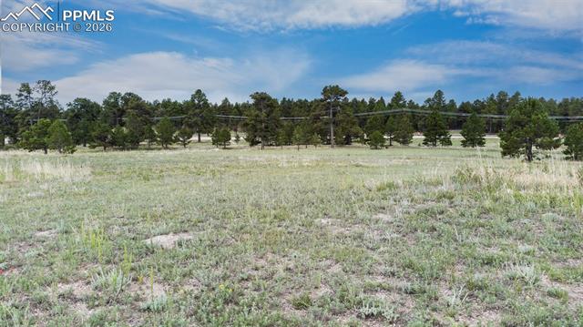 11809 Flap Jack Ln, Colorado Springs, CO 80908