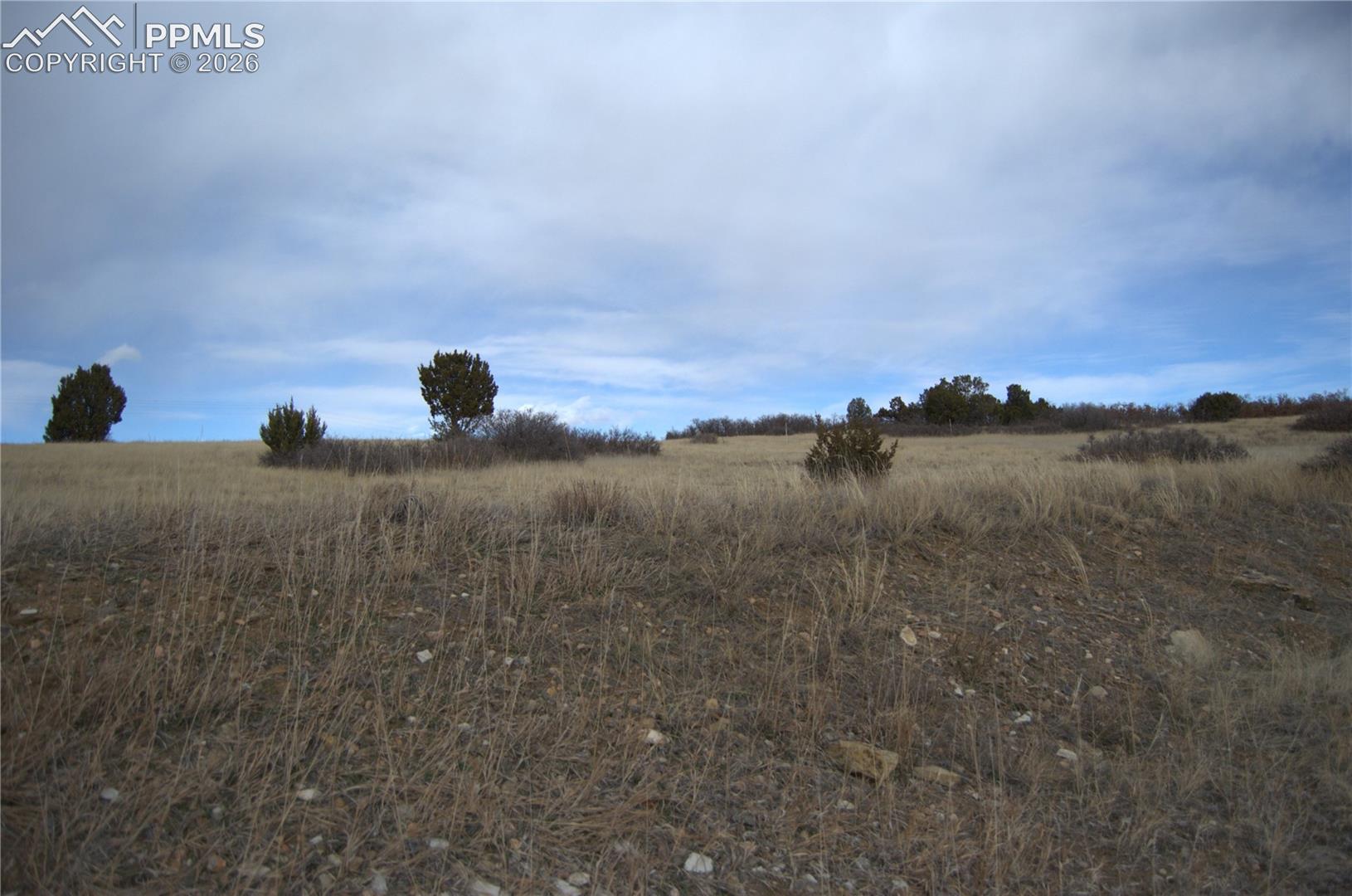 Photo 10 of Rosemoore Drive, Colorado City
