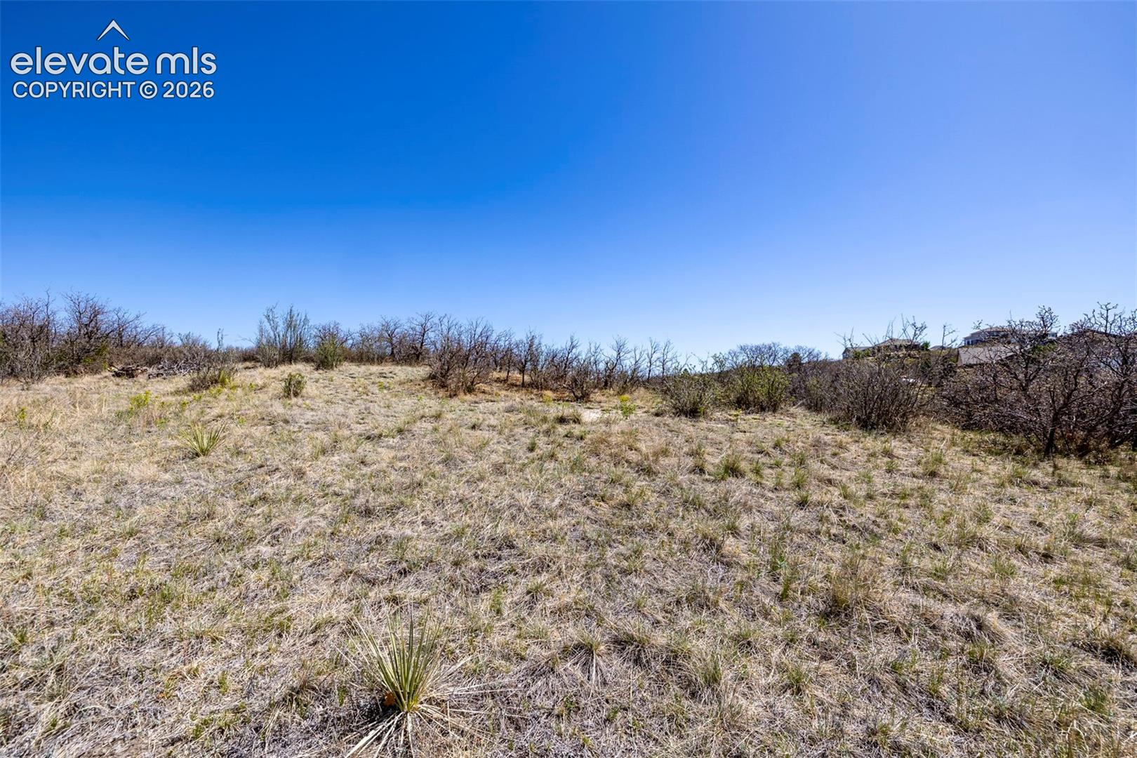 Photo 10 of 1701 N Rocky View Road, Castle Rock