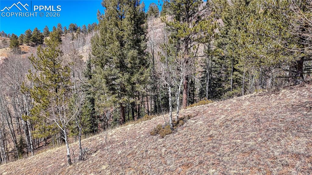 Photo 19 of 513 Last Dollar Drive, Cripple Creek