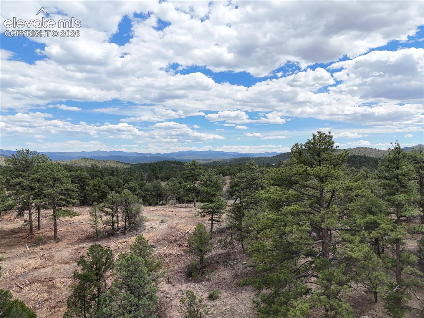 Expansive natural terrain featuring mature evergreen trees and distant mountain ranges
