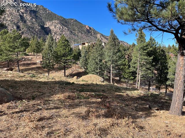920 Grey Mountain Point, Colorado Springs, CO 80906