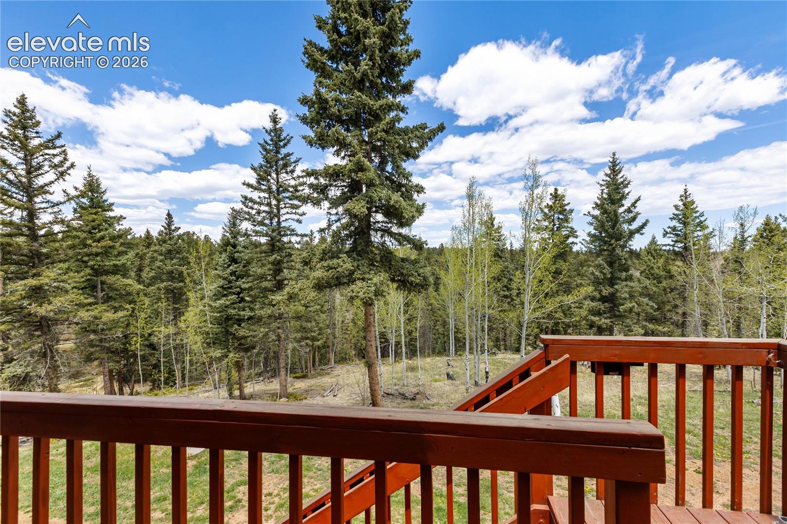 153 Moss Rock Ct, Divide, CO 80814