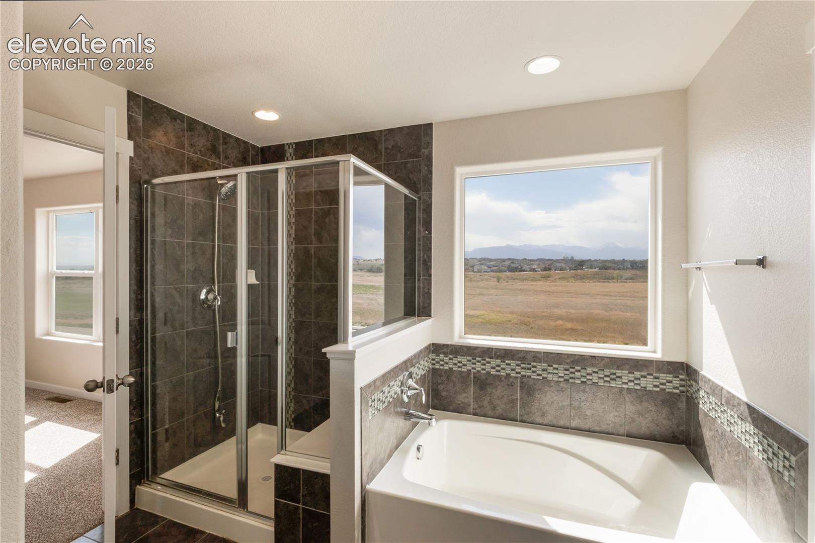 Photo 27 of 7352 Bigtooth Maple Drive, Colorado Springs