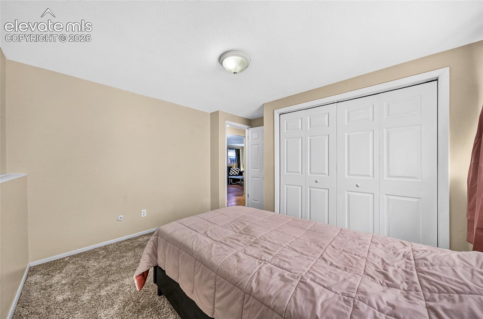Wall-to-wall carpeting, white bi-fold closet doors, and a ceiling-mounted light fixture