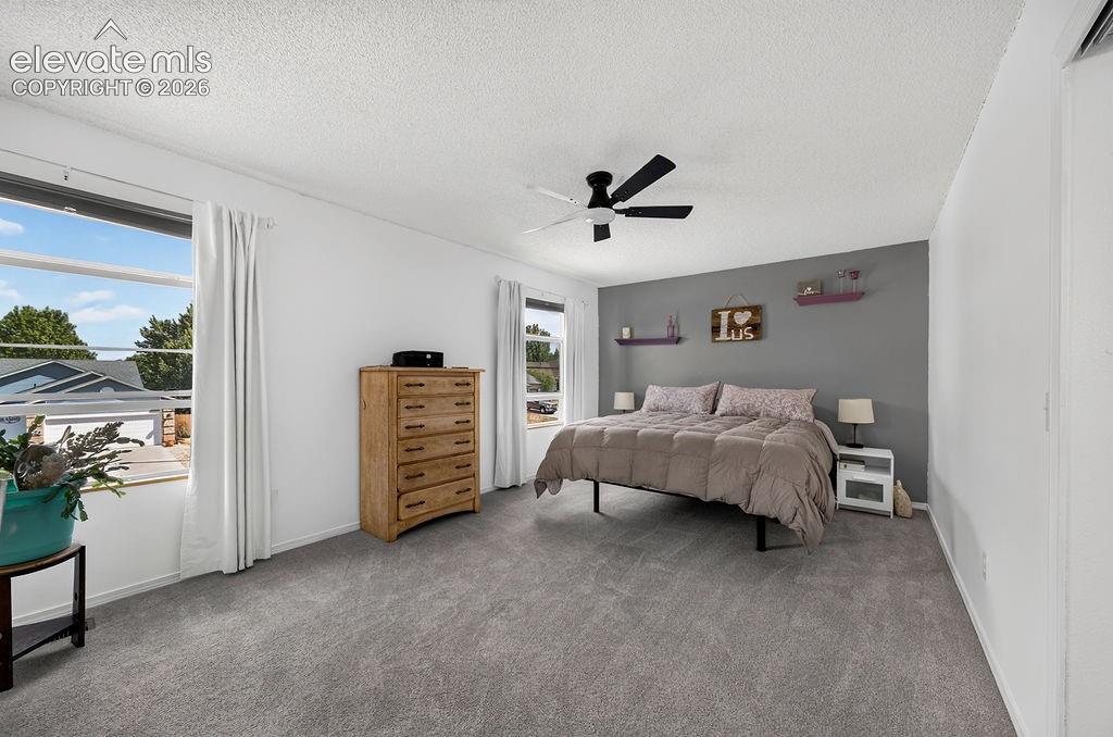 Spacious room featuring light gray carpeting, a contrasting accent wall, two large windows, and an overhead ceiling fan