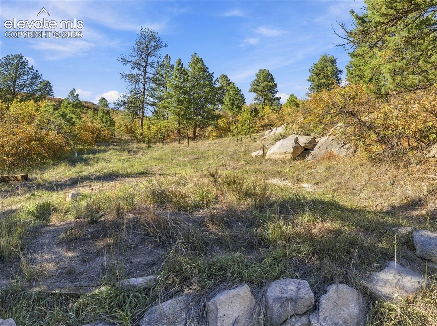 Natural landscape featuring mature pine trees, native grasses, exposed rock formations, and granite boulder accents