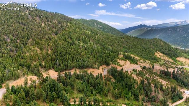 View of mountain background featuring a heavily wooded area