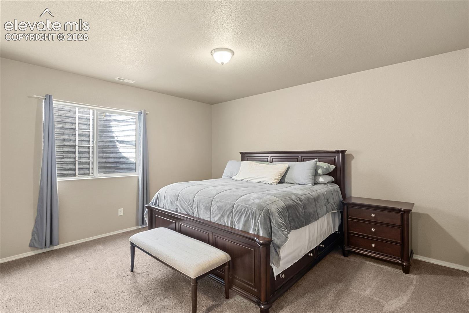 Neutral-toned interior featuring wall-to-wall carpeting and a single egress window with an exterior window well