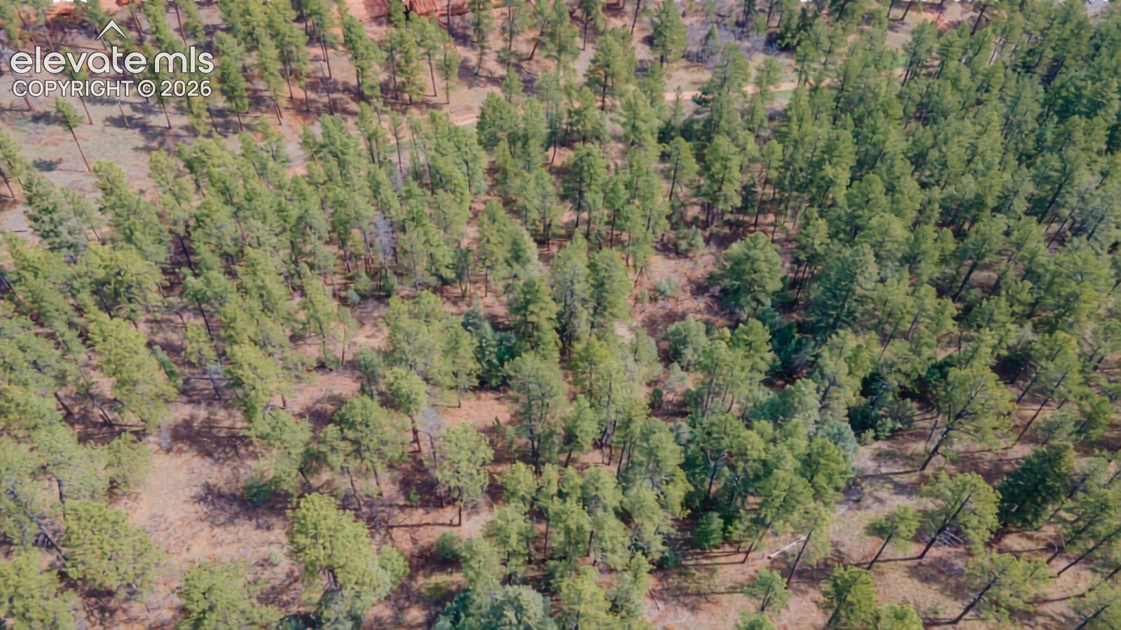 Photo 6 of 8257 Bannock Drive, Larkspur