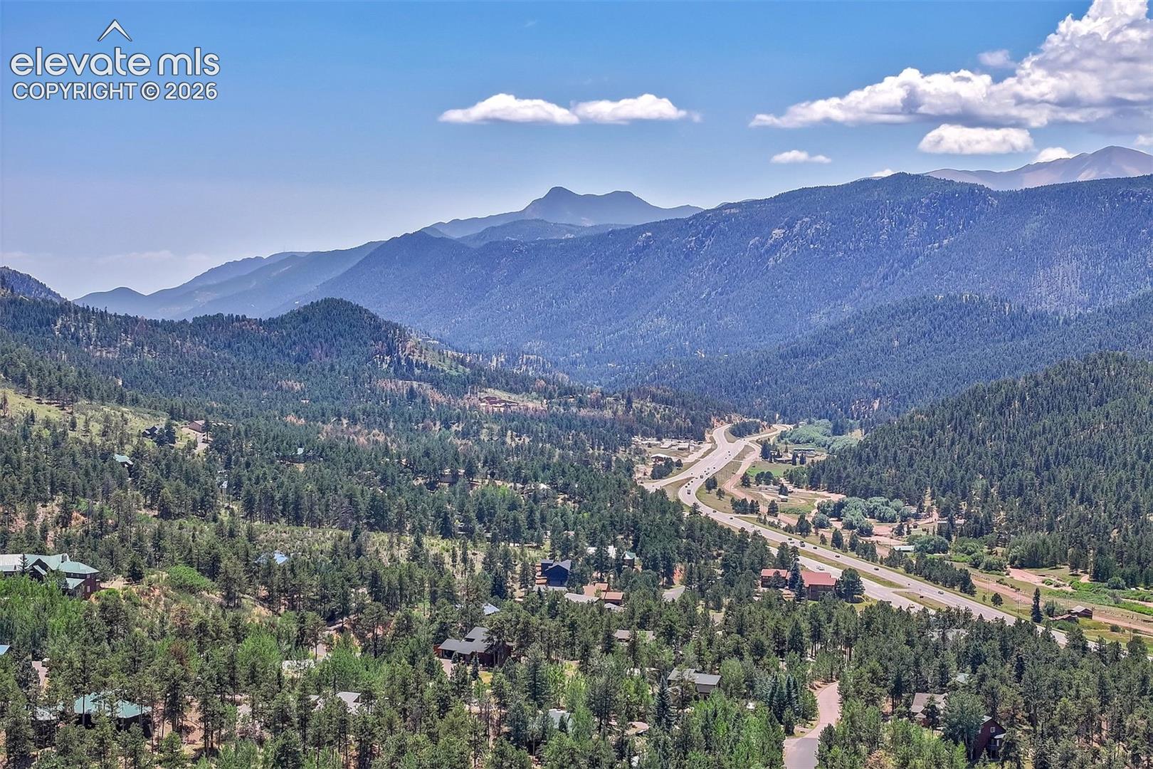 528 Brecken Ct, Woodland Park, CO 80863