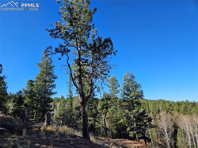 Photo 12 of 652 Derby Drive, Cripple Creek