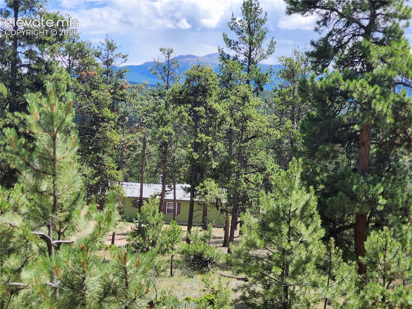 400 Pikes Peak Ln, Florissant, CO 80816