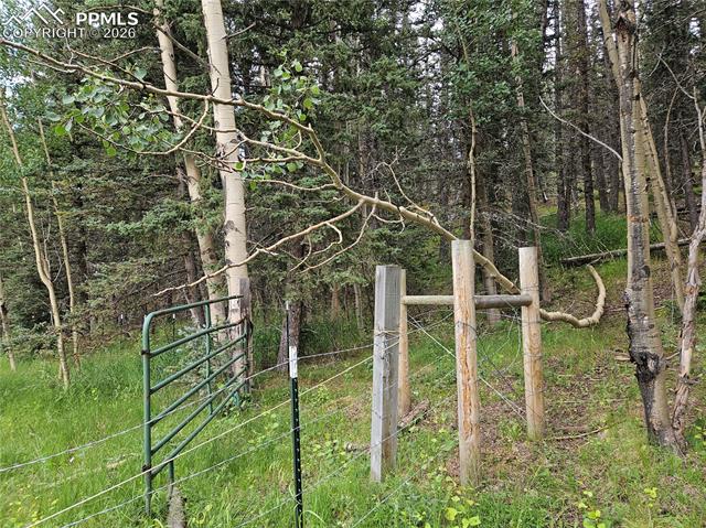 Back of Fenced Area Opening to Possible Hillside Building Site. 