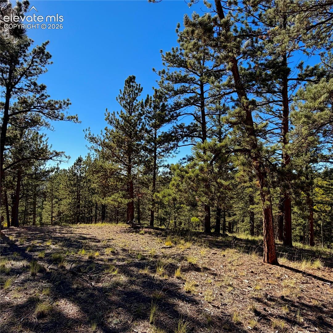 Photo 9 of 31 Pike View Circle, Divide