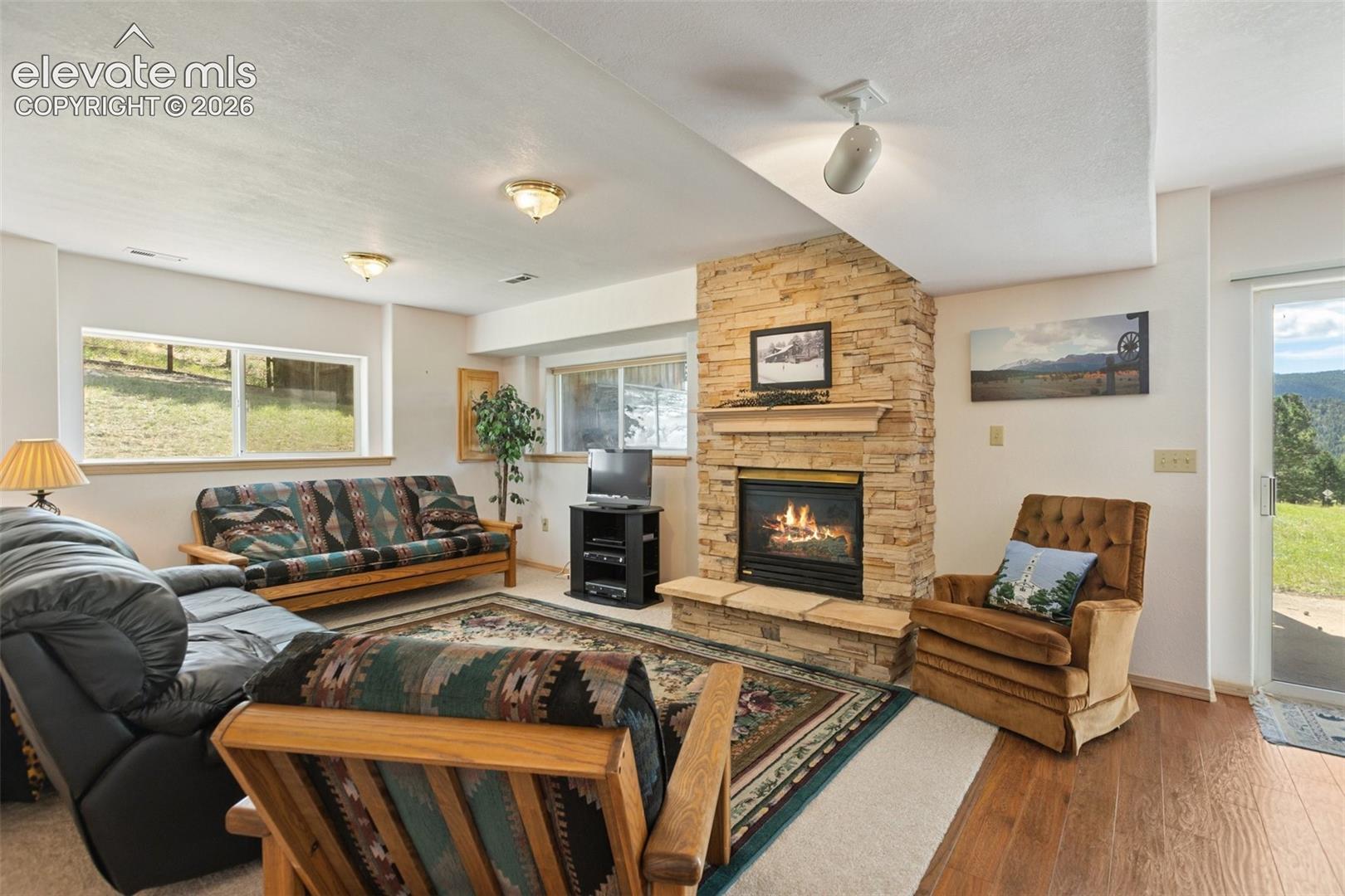 Family Room - Basement 