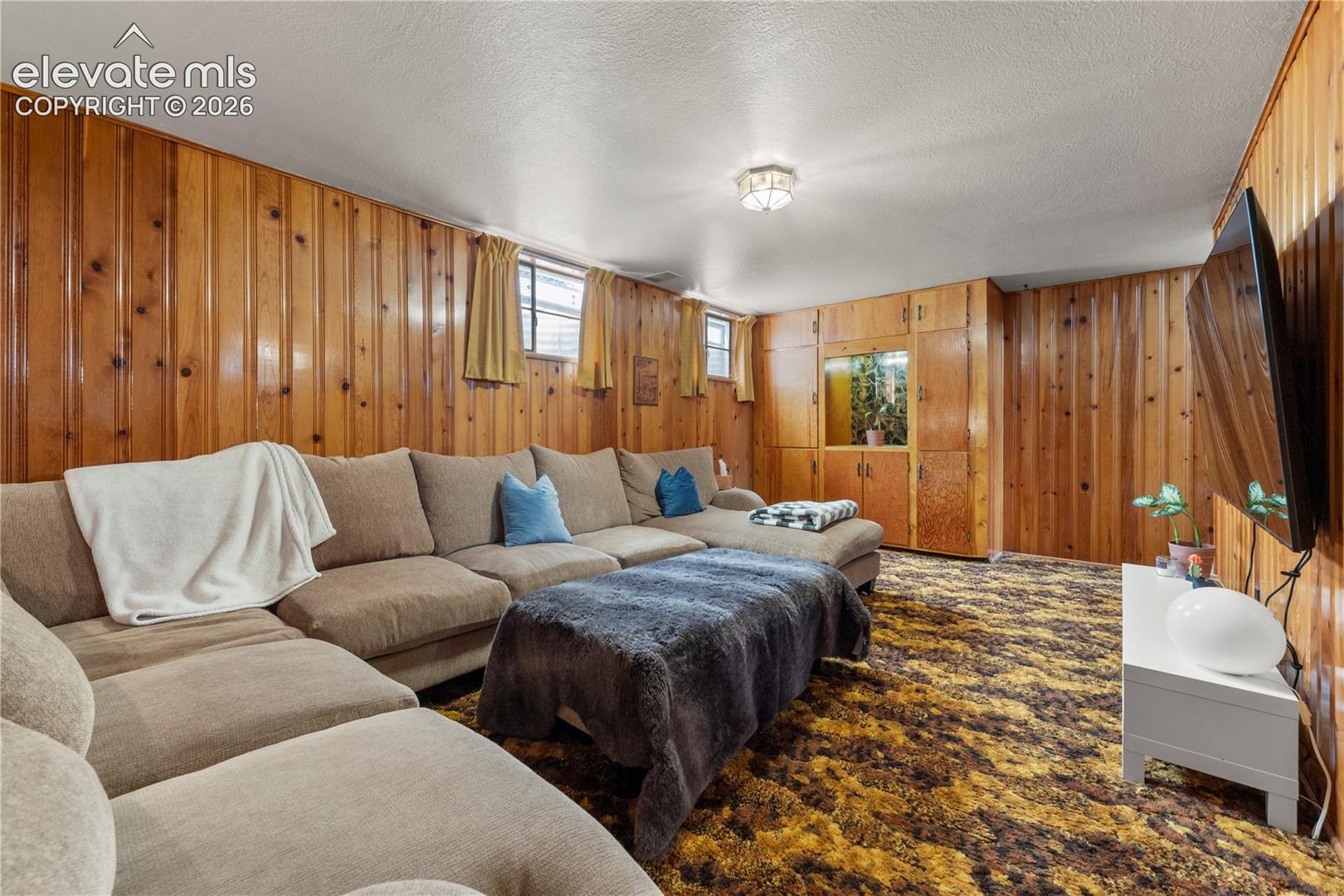 Basement Den