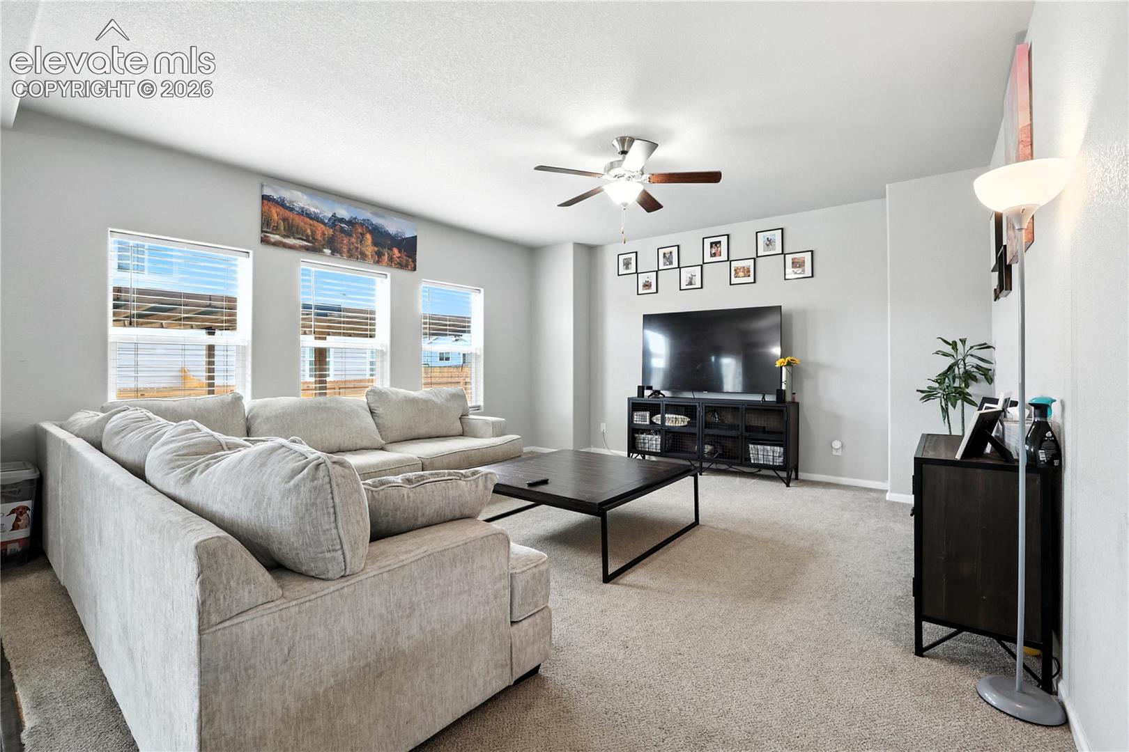 Carpeted living area with neutral wall tones, multiple windows, and a ceiling fan with light fixture