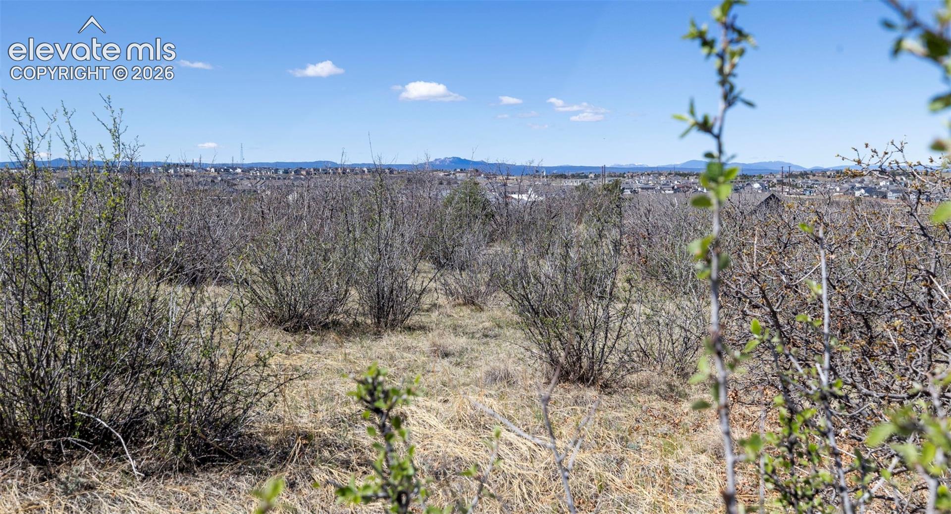 Photo 30 of 1701 N Rocky View Road, Castle Rock