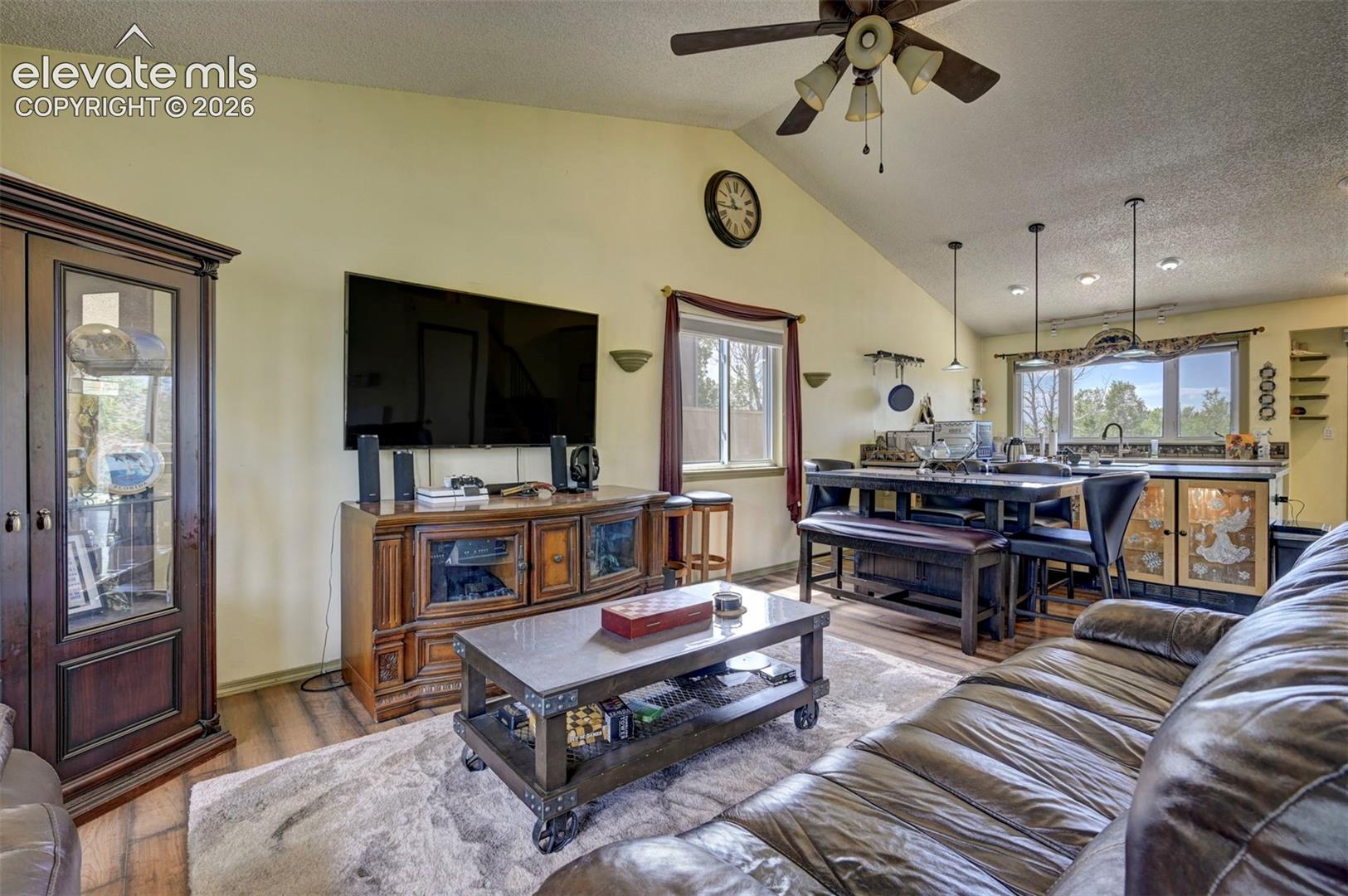Vaulted ceiling living area with wood-finish flooring