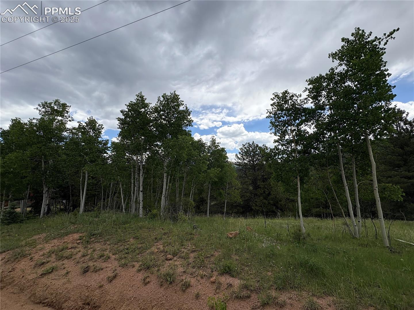 Photo 8 of 532 May Queen Drive, Cripple Creek