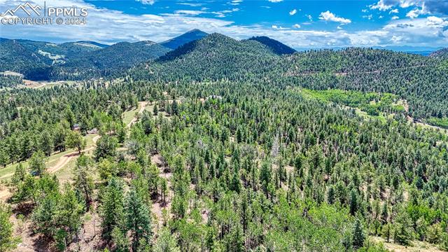 Photo 29 of 24 Wild Horse Circle, Cripple Creek