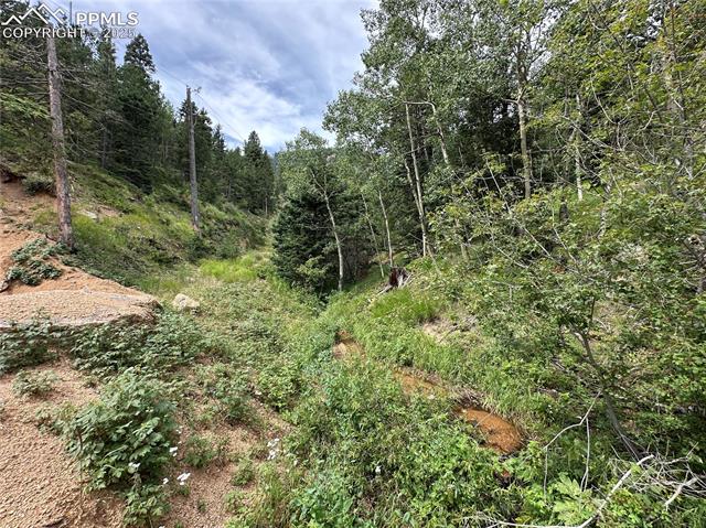 Year around stream near the lot with tons of wild raspberries! 