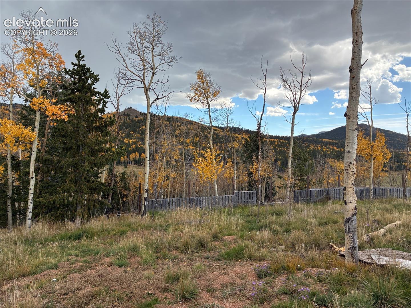 Natural landscape featuring mature aspen and evergreen trees, open terrain, mountain backdrop, and wood-slat perimeter fencing