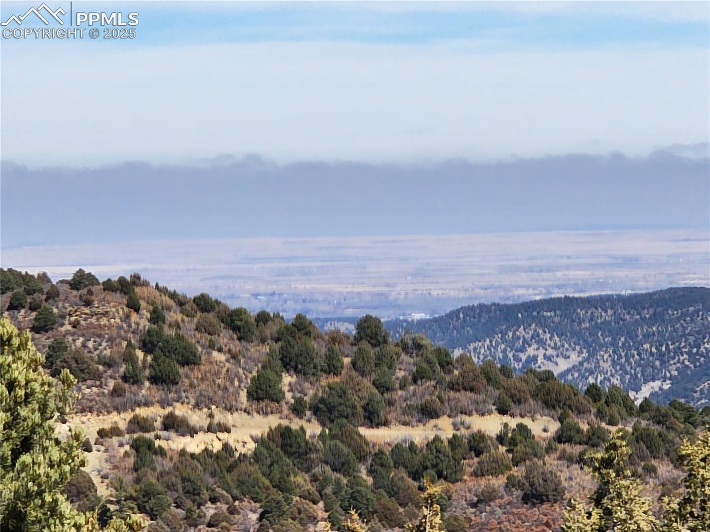 Mountain view with a heavily wooded area