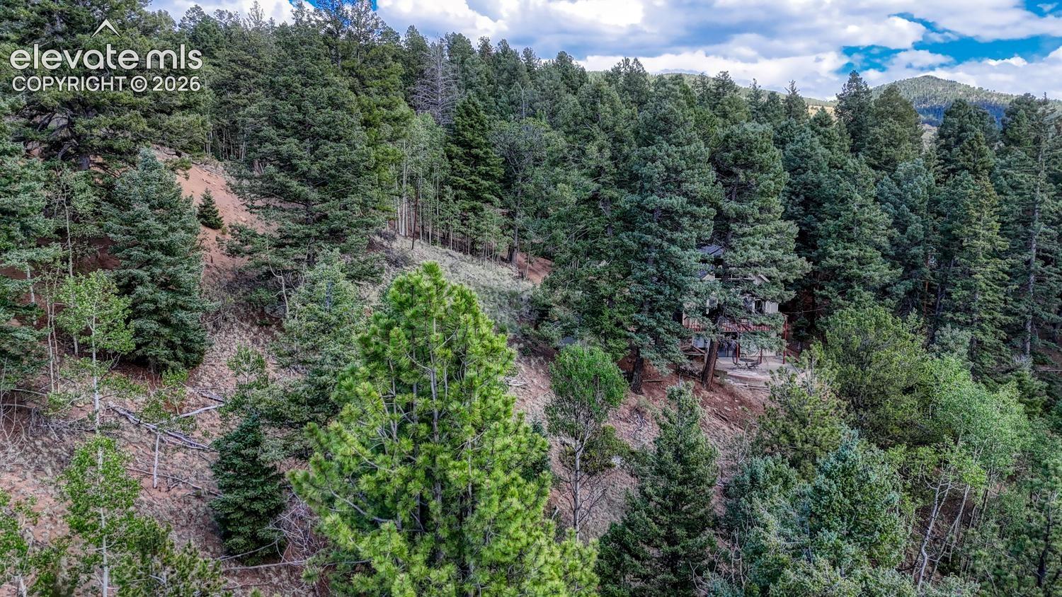 Photo 11 of 783 Bennett Drive, Cripple Creek