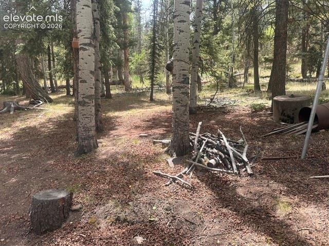 135 Mount Massive Rd, Florissant, CO 80816