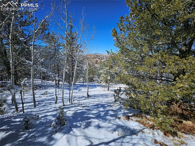 Photo 21 of 829 Princess Road, Cripple Creek