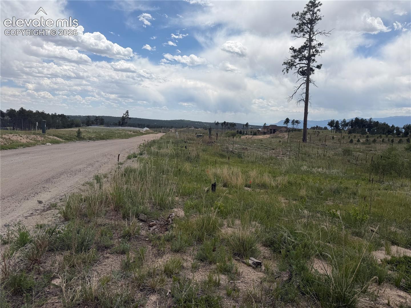Photo 10 of 13810 Wildoak Drive, Black Forest