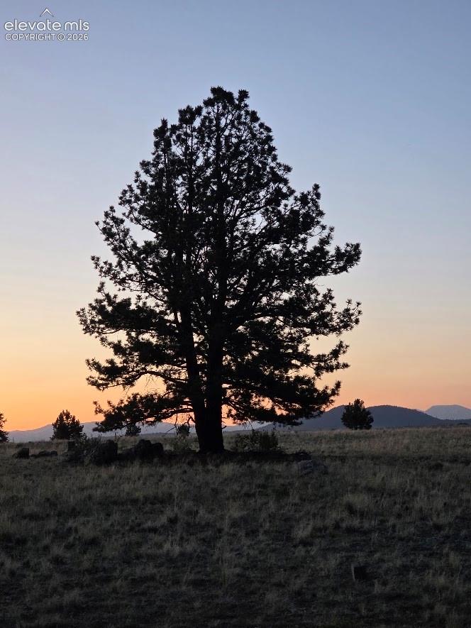 614 Yellowstone Rd, Hartsel, CO 80449