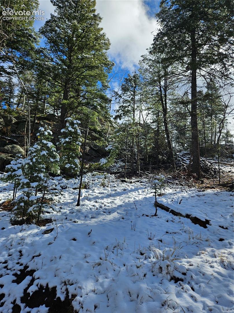 Wooded acreage featuring mature evergreen trees and natural rock outcroppings