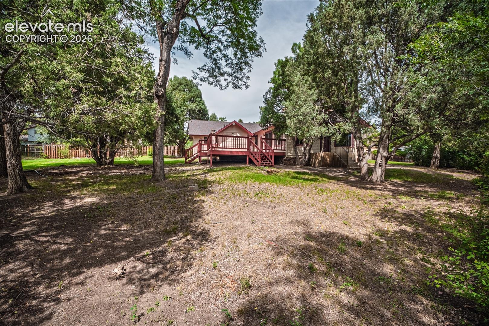 Expansive backyard featuring a natural landscape and mature trees