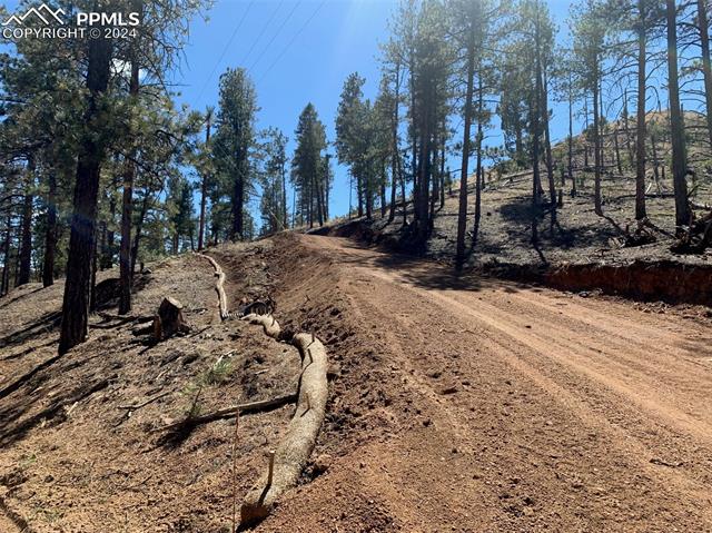 Gently sloping lot provides many options
