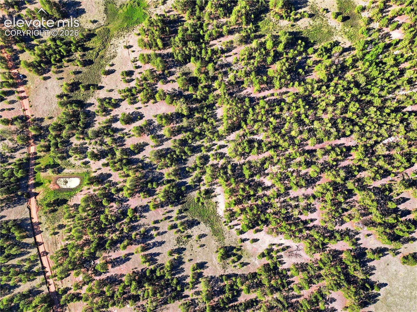 Aerial perspective featuring extensive tree coverage, varied natural terrain, and a visible unpaved road