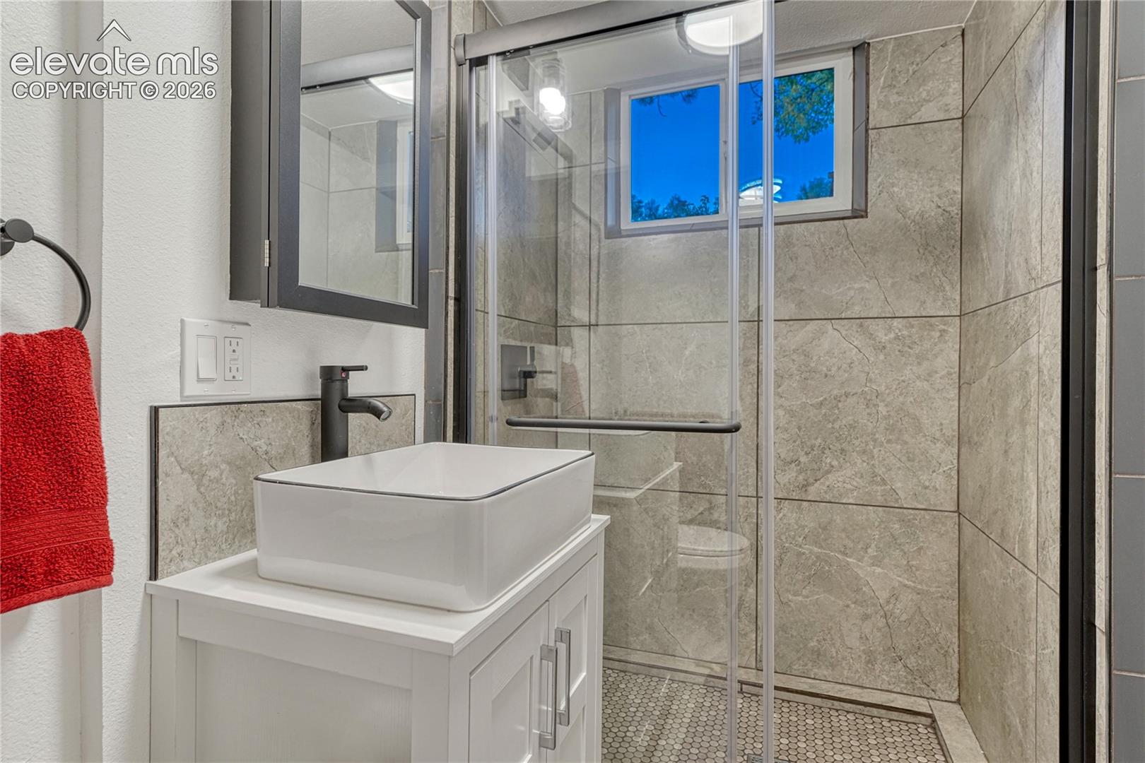 Lower level Bathroom