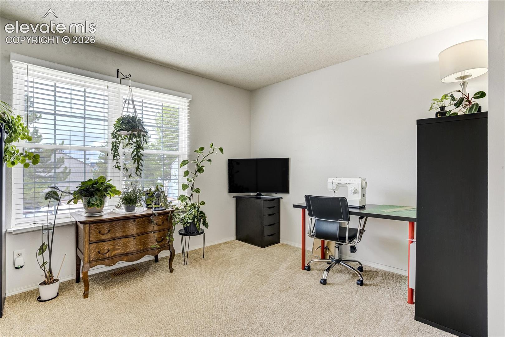 Photo 21 of 3351 Queen Anne Way, Colorado Springs