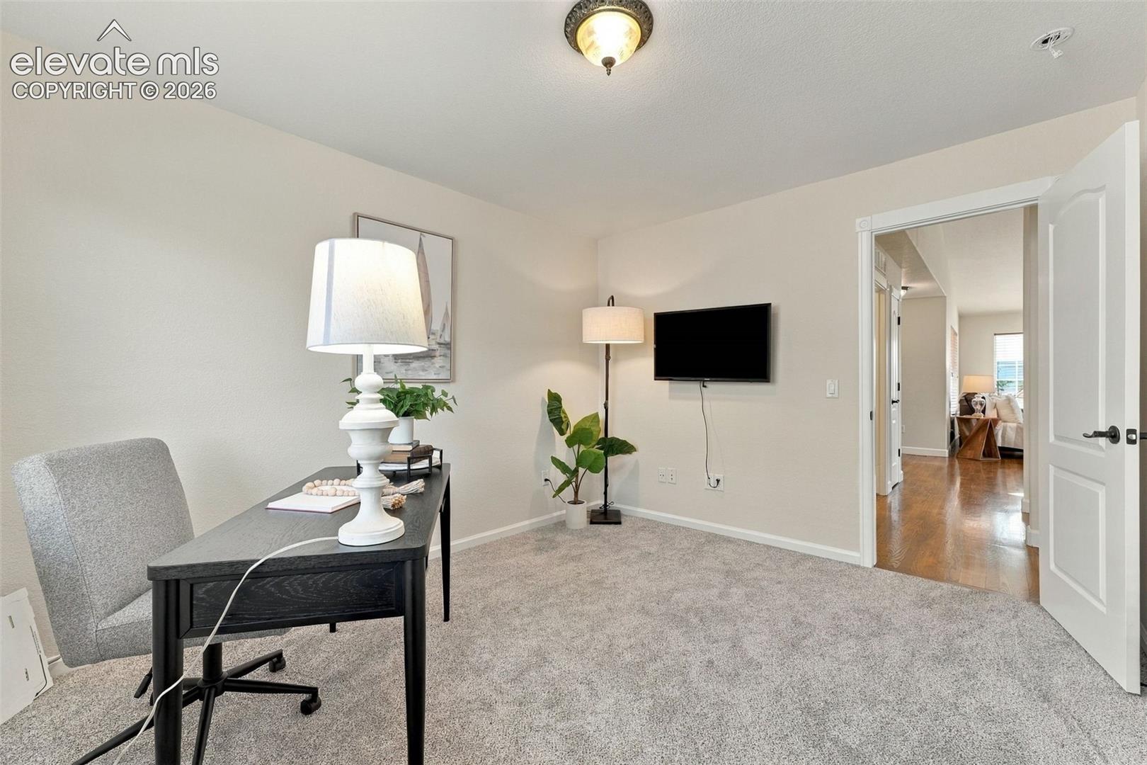 Neutral interior featuring plush wall-to-wall carpeting, a traditional ceiling-mounted light fixture, and a multi-panel interior door