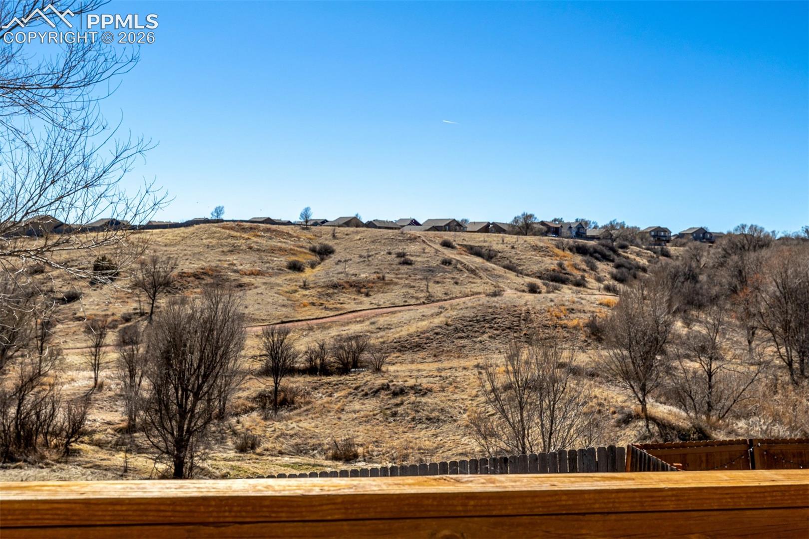 Open Space behind home