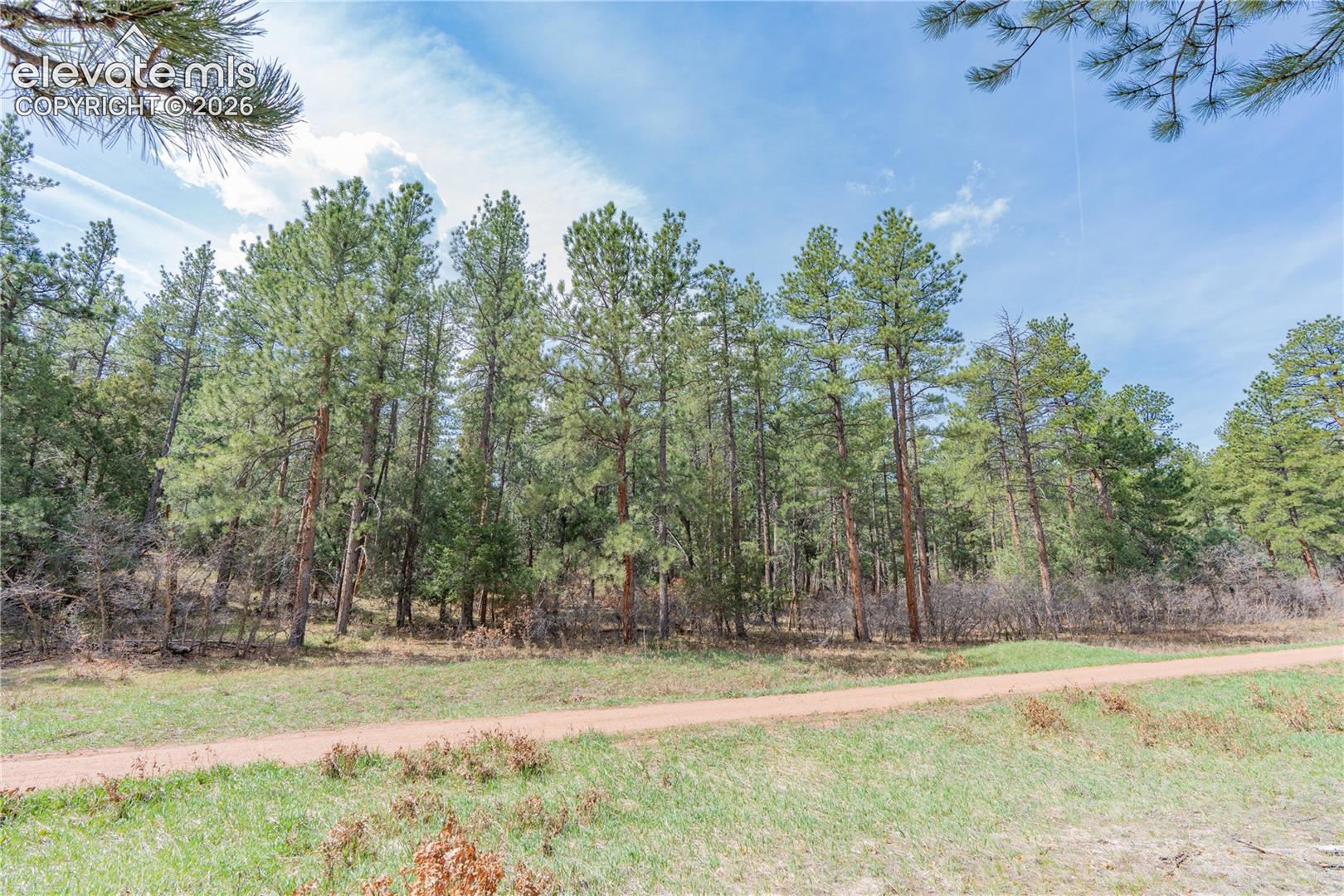 Photo 10 of 8257 Bannock Drive, Larkspur