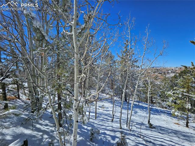 Photo 17 of 829 Princess Road, Cripple Creek