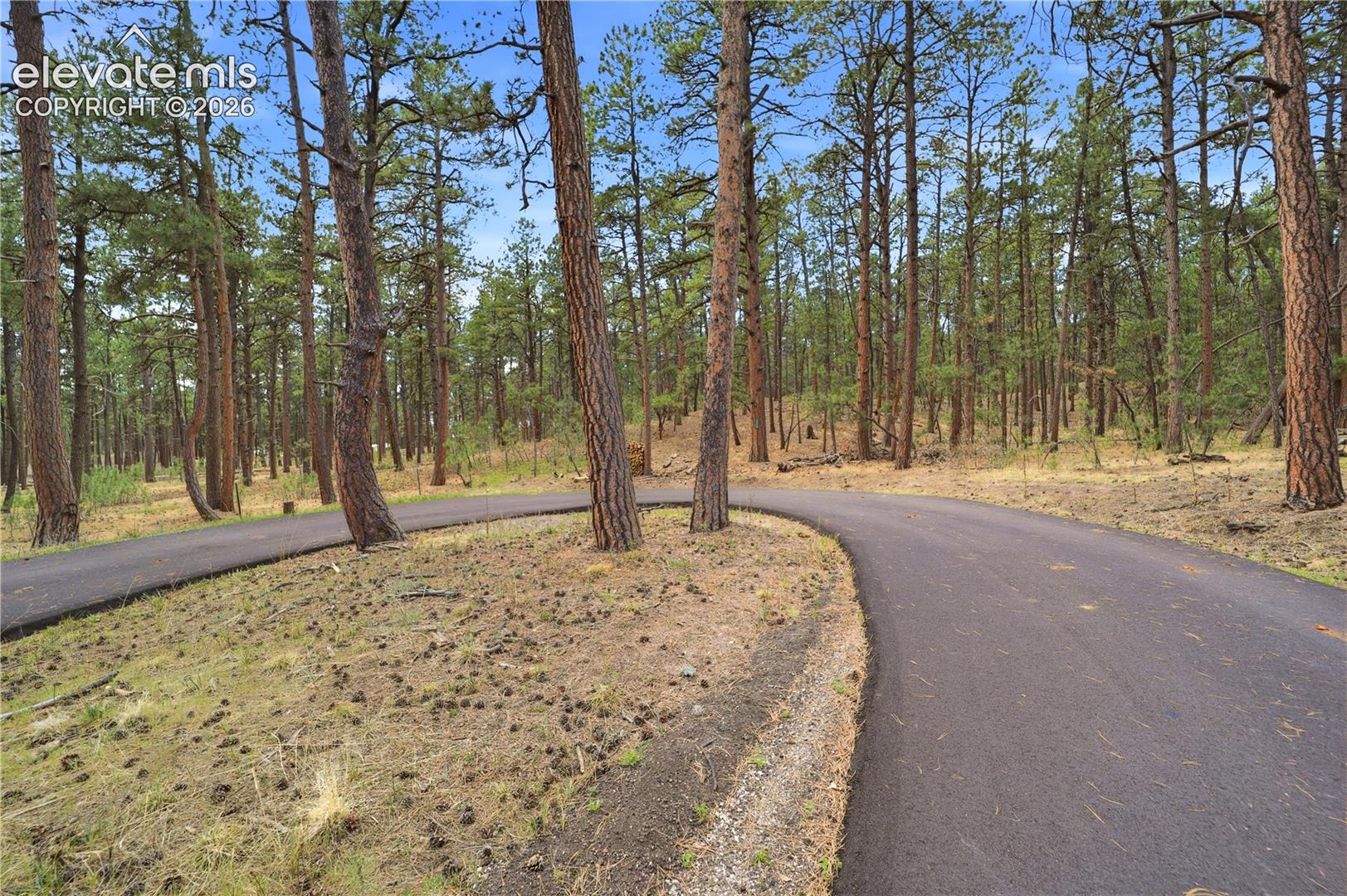 Photo 7 of 15950 Roller Coaster Road, Colorado Springs